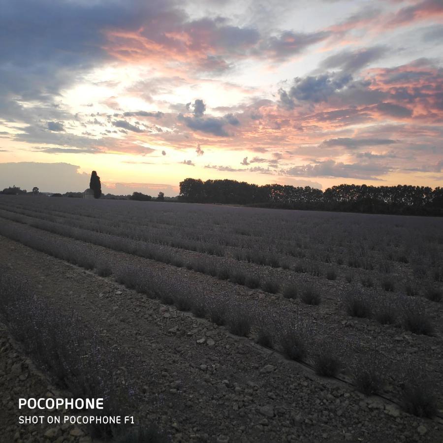 Abrivado Aimargues En Petite Camargue Apartment Bagian luar foto
